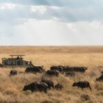 WhatsApp Image 2026-01-13 at 12.08.14 (1)