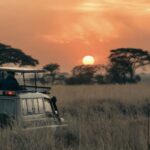 WhatsApp Image 2026-01-13 at 12.08.14